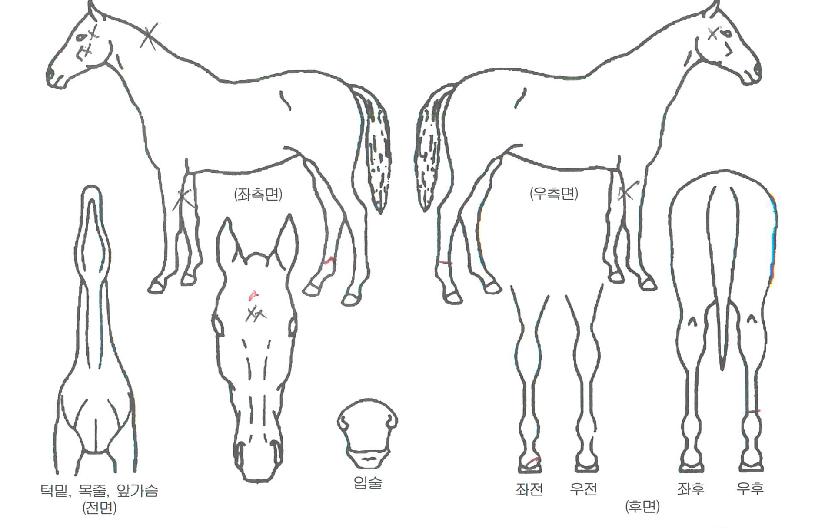 ũ�ν����� ����,���,�޸�,�λ�,�ٸ��� Ư¡����