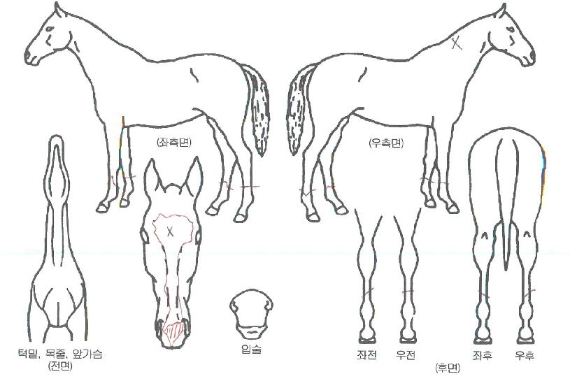 ���̽������� ����,���,�޸�,�λ�,�ٸ��� Ư¡����