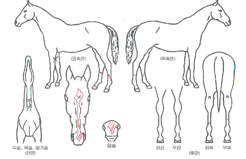 �׷������� ����,���,�޸�,�λ�,�ٸ��� Ư¡����