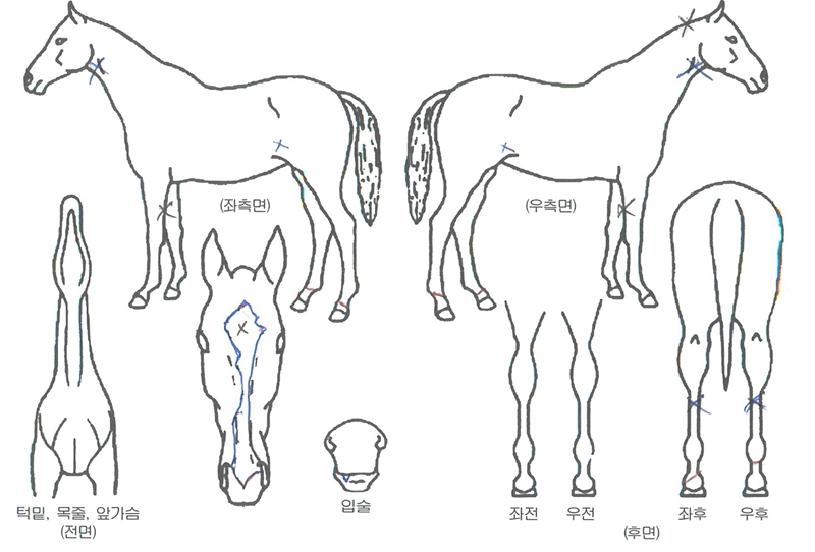 ������������ ����,���,�޸�,�λ�,�ٸ��� Ư¡����