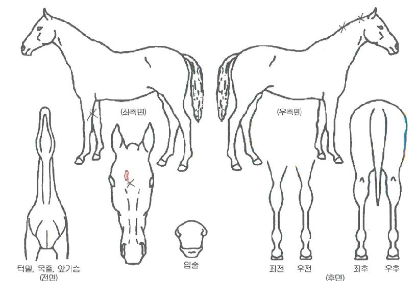 ������Ÿ�� ����,���,�޸�,�λ�,�ٸ��� Ư¡����