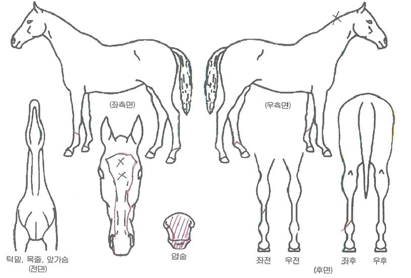 ����Ŀ���� ����,���,�޸�,�λ�,�ٸ��� Ư¡����