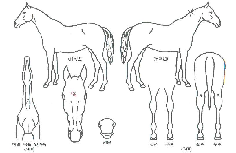 �ݺ��ָ��� ����,���,�޸�,�λ�,�ٸ��� Ư¡����