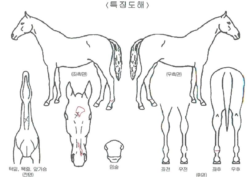 ���������� ����,���,�޸�,�λ�,�ٸ��� Ư¡����