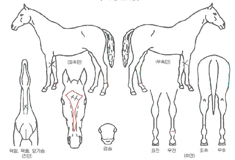 �������� ����,���,�޸�,�λ�,�ٸ��� Ư¡����