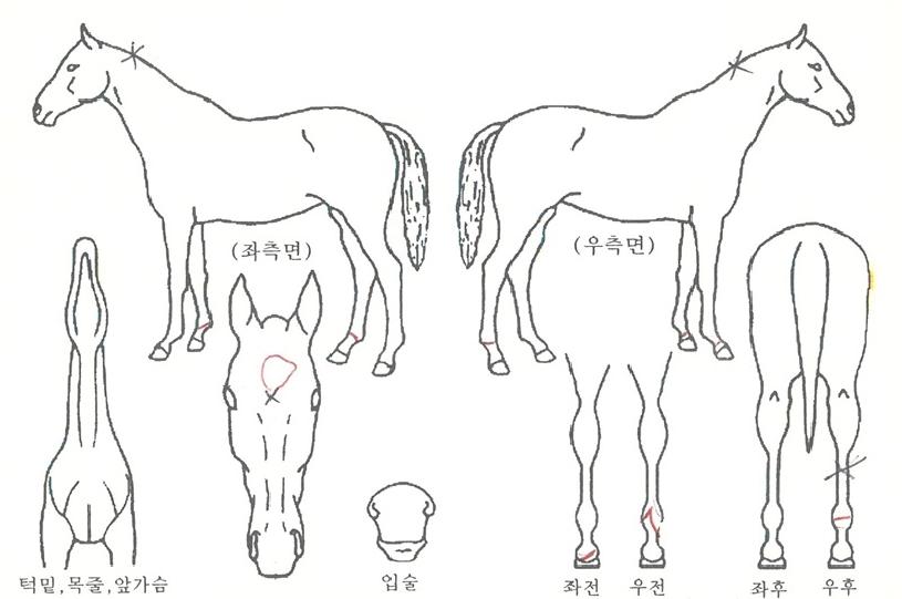 ��Ű������ ����,���,�޸�,�λ�,�ٸ��� Ư¡����