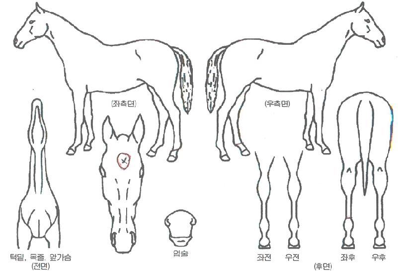 ����ũ����� ����,���,�޸�,�λ�,�ٸ��� Ư¡����