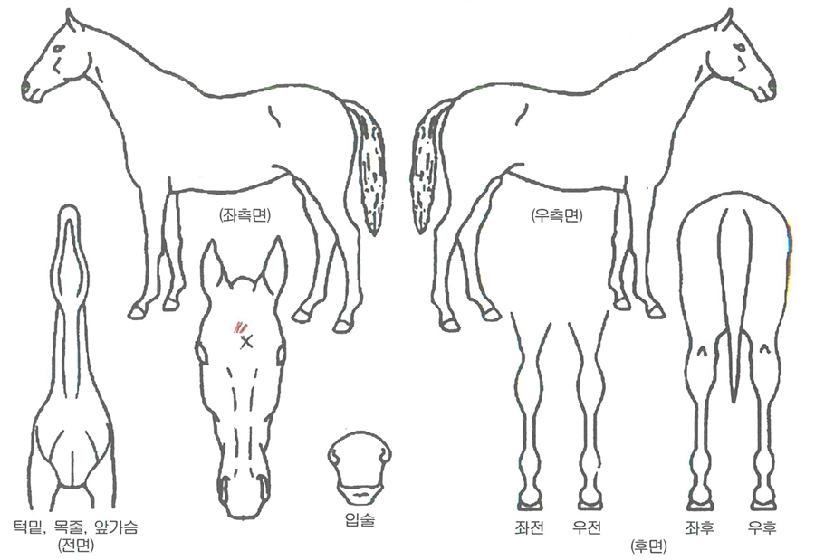 ����Ʈ������ ����,���,�޸�,�λ�,�ٸ��� Ư¡����