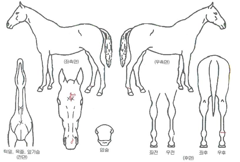 ���̽����� ����,���,�޸�,�λ�,�ٸ��� Ư¡����