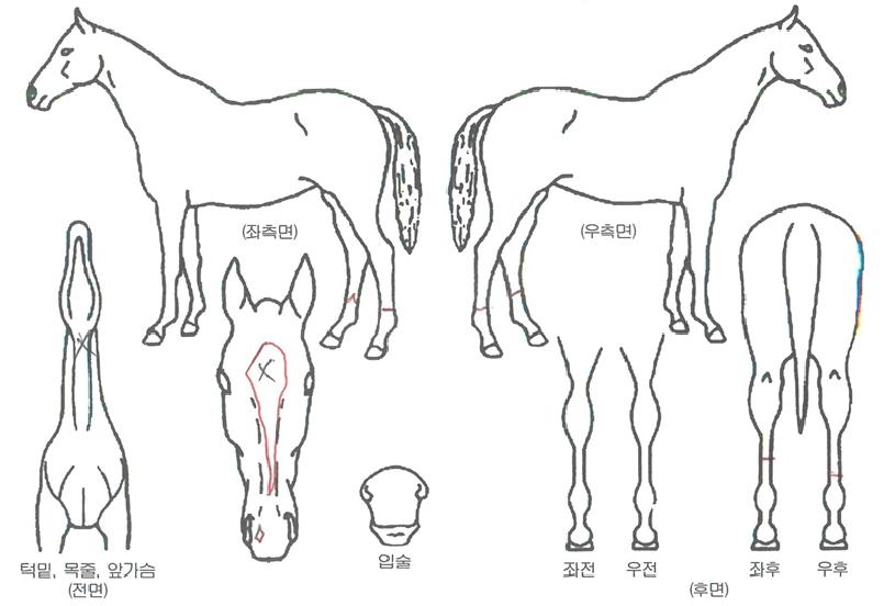 ����ġ���� ����,���,�޸�,�λ�,�ٸ��� Ư¡����