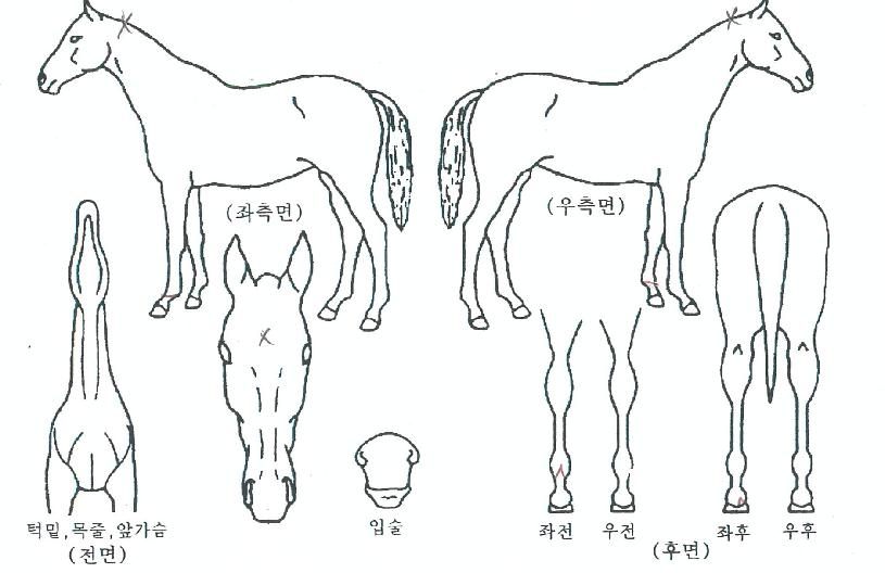 �뱺������ ����,���,�޸�,�λ�,�ٸ��� Ư¡����