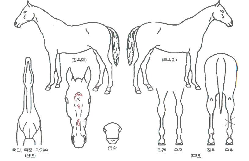 ���տ��̽��� ����,���,�޸�,�λ�,�ٸ��� Ư¡����