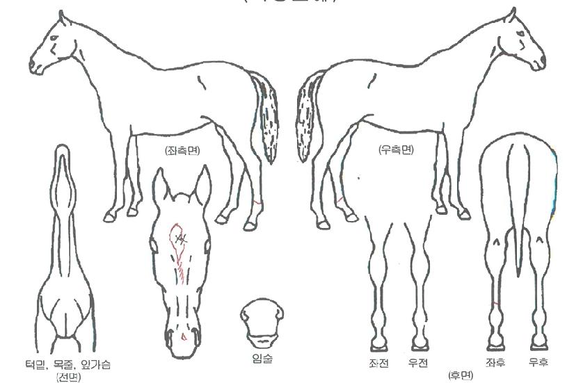 �������� ����,���,�޸�,�λ�,�ٸ��� Ư¡����