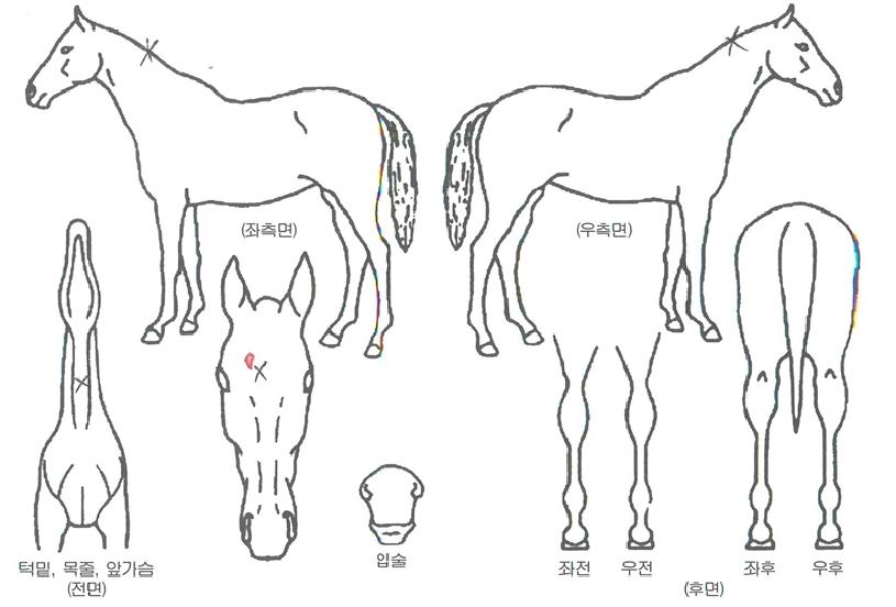 �������� ����,���,�޸�,�λ�,�ٸ��� Ư¡����