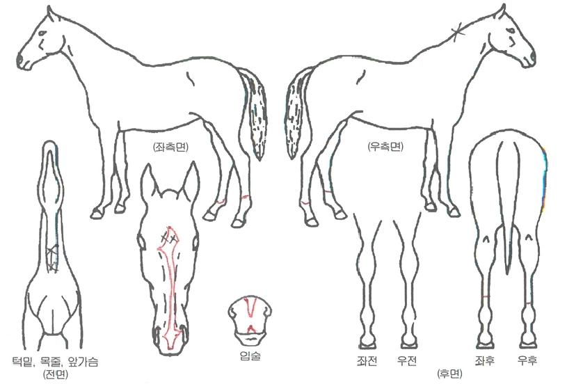 ���̺�Ʈ�� ����,���,�޸�,�λ�,�ٸ��� Ư¡����