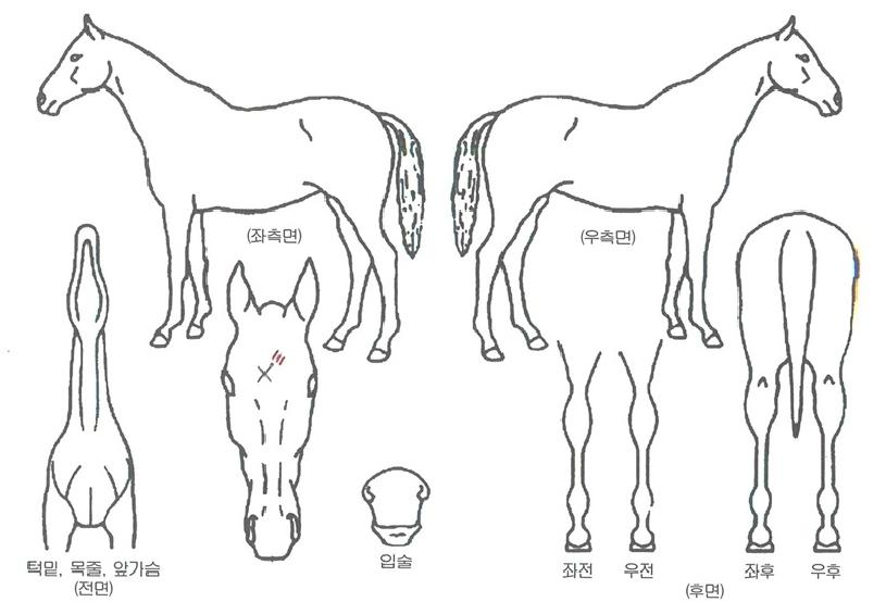 �������� ����,���,�޸�,�λ�,�ٸ��� Ư¡����