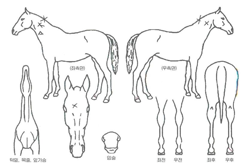 ����Ʈ������ ����,���,�޸�,�λ�,�ٸ��� Ư¡����