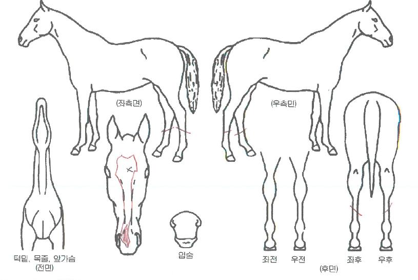 ��Ÿ������ ����,���,�޸�,�λ�,�ٸ��� Ư¡����