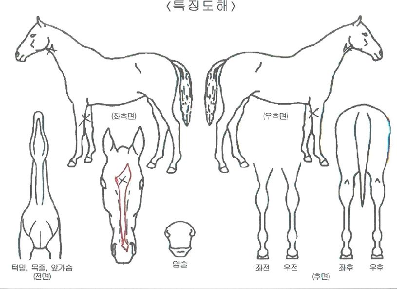 �������� ����,���,�޸�,�λ�,�ٸ��� Ư¡����