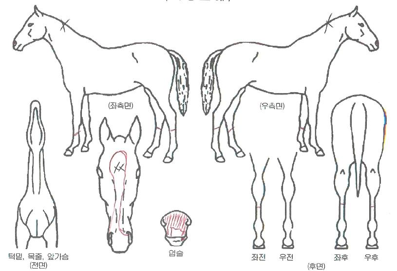 Ŭ���̺��� ����,���,�޸�,�λ�,�ٸ��� Ư¡����