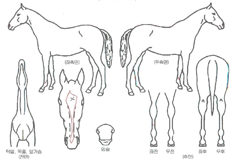 ���������� ����,���,�޸�,�λ�,�ٸ��� Ư¡����