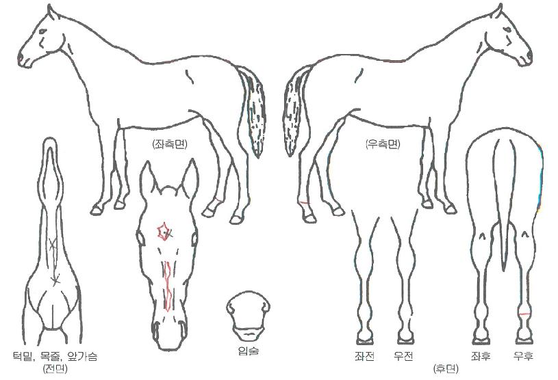 �帲�̽��� ����,���,�޸�,�λ�,�ٸ��� Ư¡����