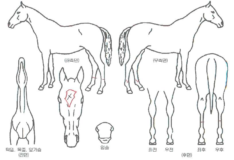 ���������ϵ��� ����,���,�޸�,�λ�,�ٸ��� Ư¡����