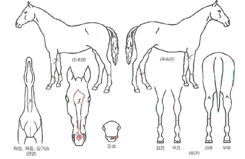 ȭ��������� ����,���,�޸�,�λ�,�ٸ��� Ư¡����