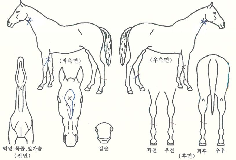 ȯ������Ʈ���� ����,���,�޸�,�λ�,�ٸ��� Ư¡����