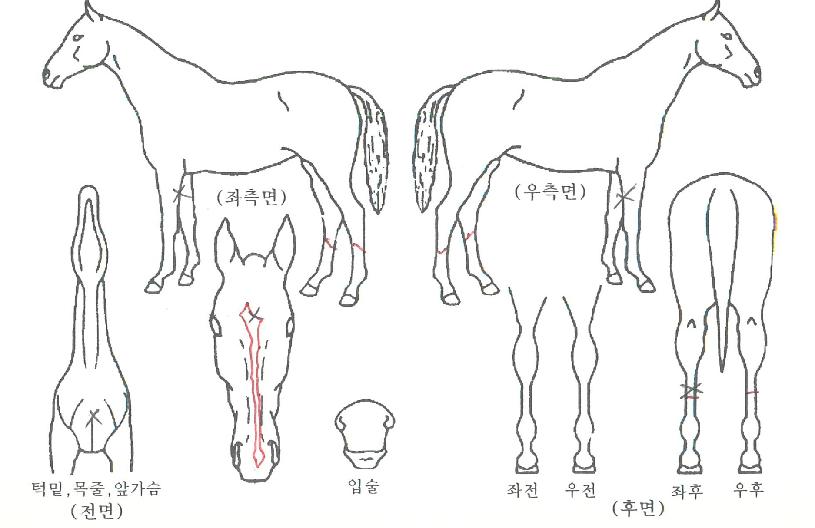 ���������丮�� ����,���,�޸�,�λ�,�ٸ��� Ư¡����