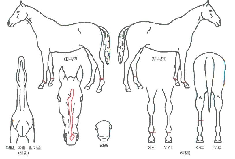 �̶�Ŭ������ ����,���,�޸�,�λ�,�ٸ��� Ư¡����