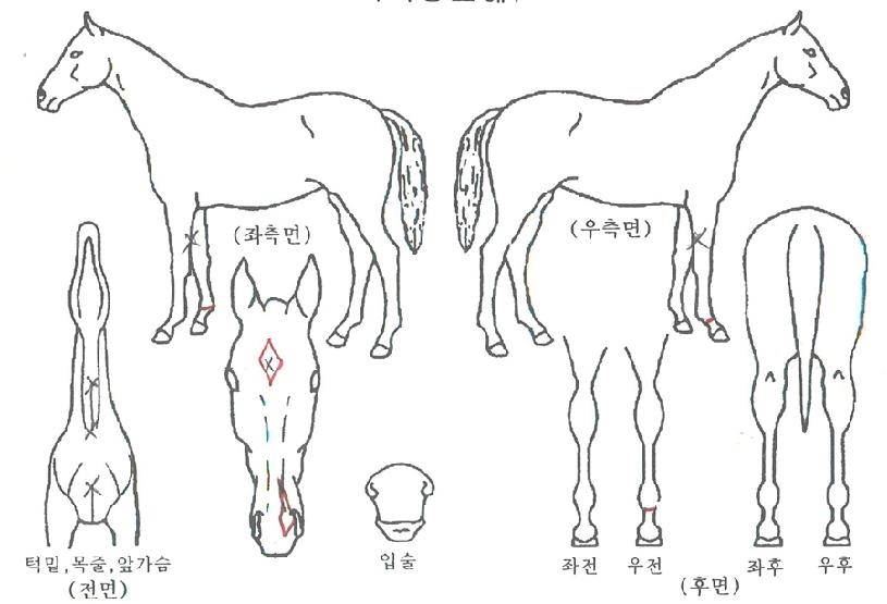 �̶�Ŭ������ ����,���,�޸�,�λ�,�ٸ��� Ư¡����