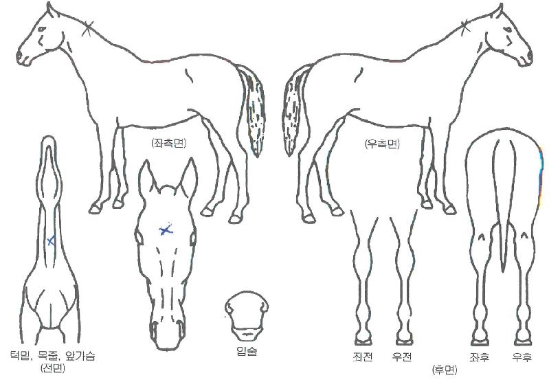 Ǯ������ ����,���,�޸�,�λ�,�ٸ��� Ư¡����