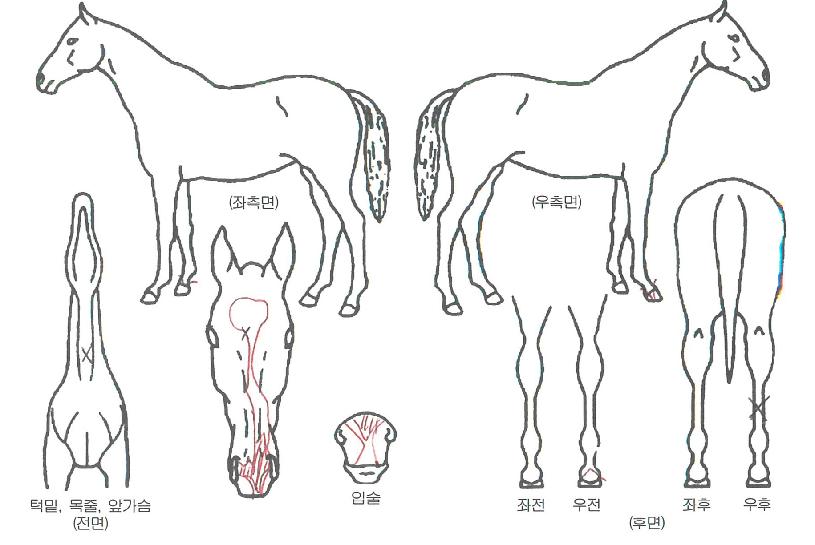 ��Ͻ����� ����,���,�޸�,�λ�,�ٸ��� Ư¡����