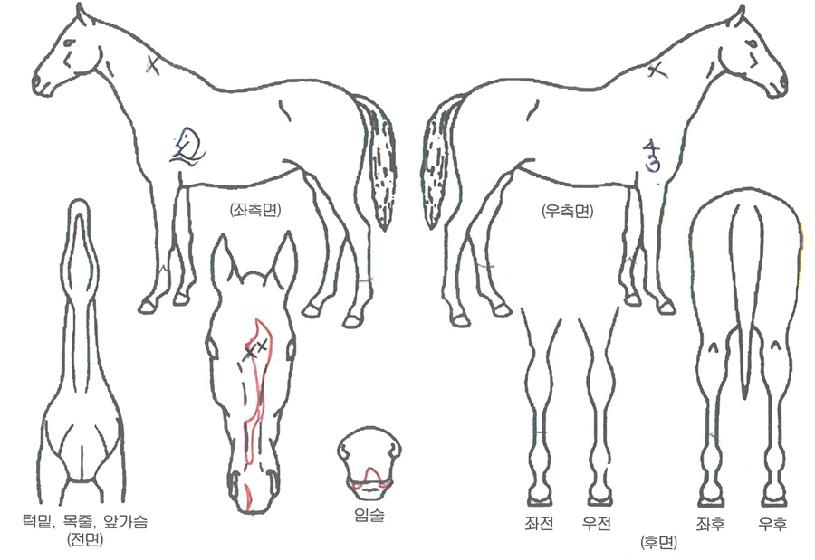 �ٿ������ ����,���,�޸�,�λ�,�ٸ��� Ư¡����