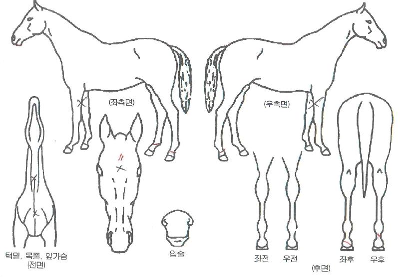 ���Ϳ����� ����,���,�޸�,�λ�,�ٸ��� Ư¡����