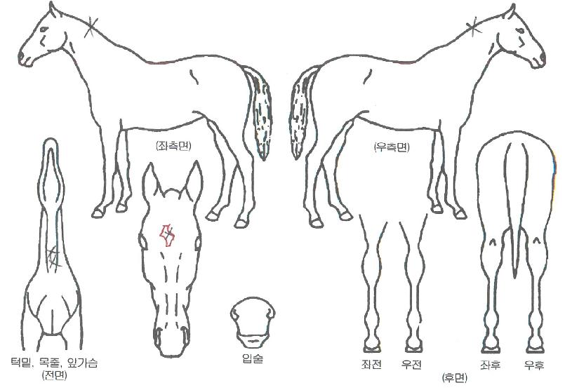 �Ŀ������� ����,���,�޸�,�λ�,�ٸ��� Ư¡����