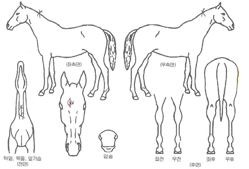 ��ܹ��� ����,���,�޸�,�λ�,�ٸ��� Ư¡����