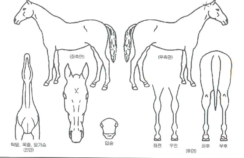 �������丮�� ����,���,�޸�,�λ�,�ٸ��� Ư¡����