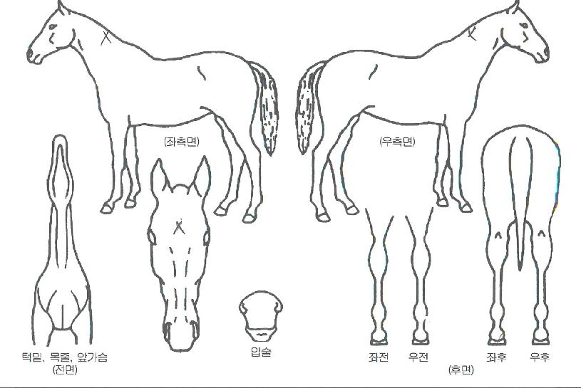 �ֵ����� ����,���,�޸�,�λ�,�ٸ��� Ư¡����