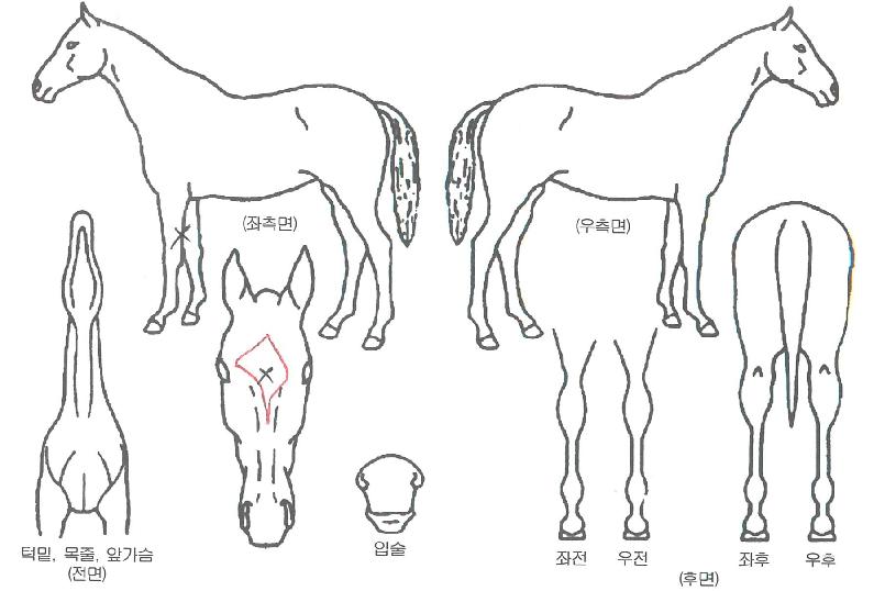 �ʴ¿��̽��� ����,���,�޸�,�λ�,�ٸ��� Ư¡����