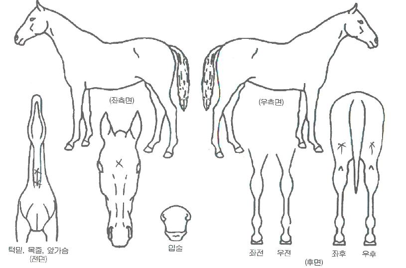 ���̽�Ÿ�� ����,���,�޸�,�λ�,�ٸ��� Ư¡����