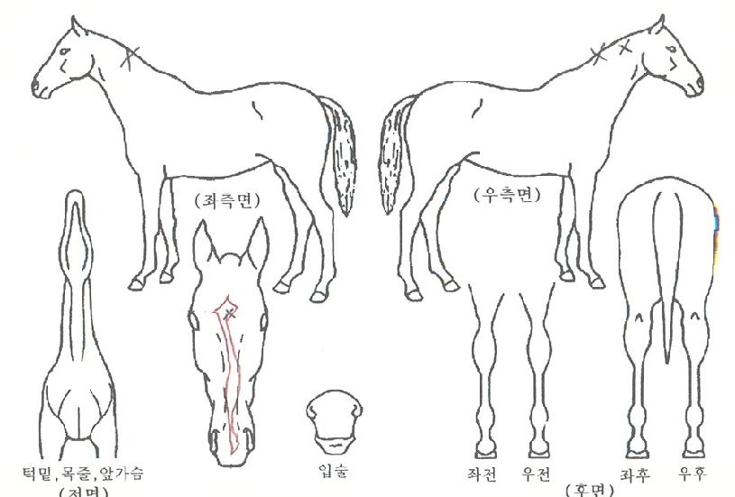 �������� ����,���,�޸�,�λ�,�ٸ��� Ư¡����