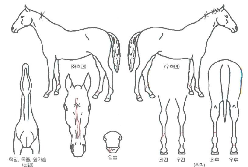 �η������� ����,���,�޸�,�λ�,�ٸ��� Ư¡����