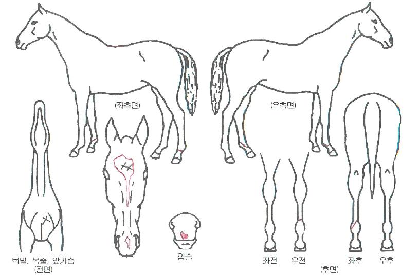 ������Ÿ�� ����,���,�޸�,�λ�,�ٸ��� Ư¡����