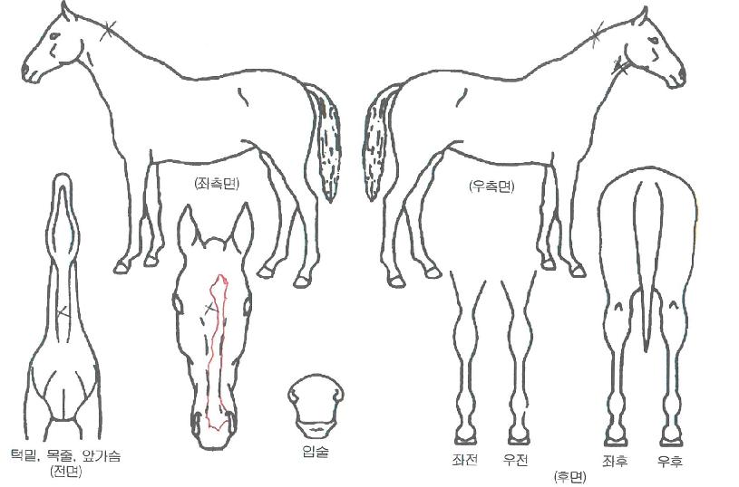 ��������� ����,���,�޸�,�λ�,�ٸ��� Ư¡����