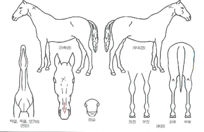 ����Ʈ������ ����,���,�޸�,�λ�,�ٸ��� Ư¡����