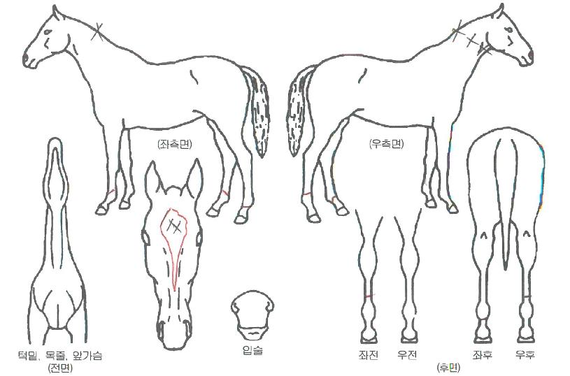 �����ѿ��̽��� ����,���,�޸�,�λ�,�ٸ��� Ư¡����