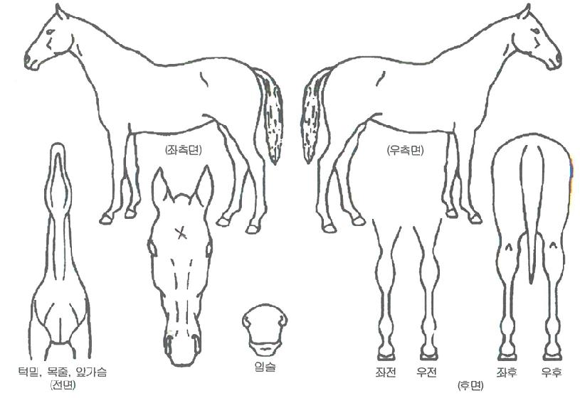 ���۵ȱ����� ����,���,�޸�,�λ�,�ٸ��� Ư¡����