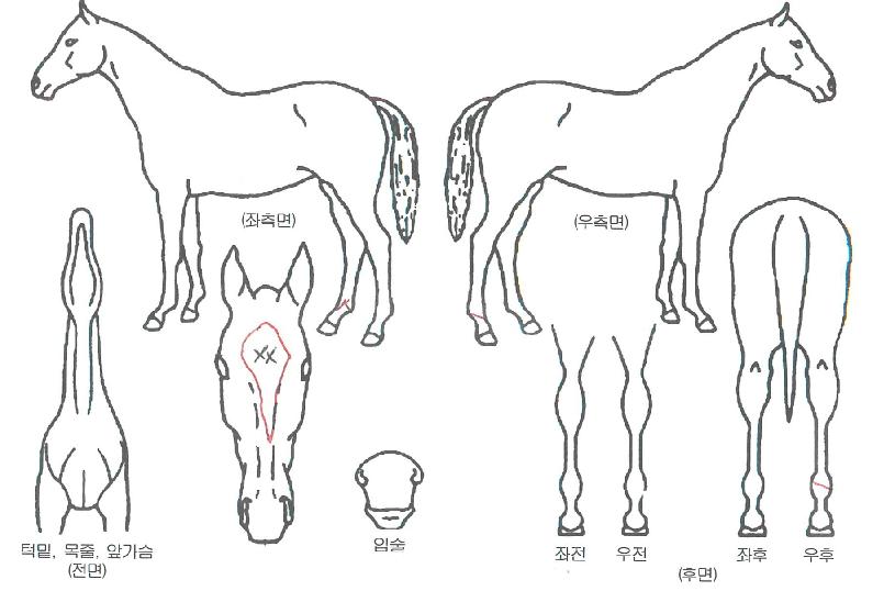 ���������� ����,���,�޸�,�λ�,�ٸ��� Ư¡����